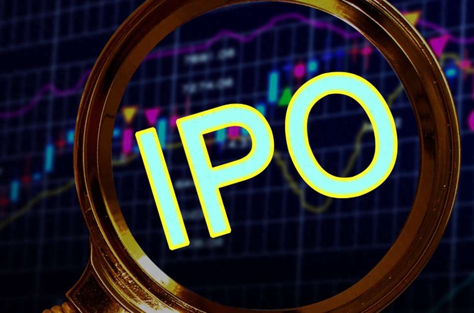 New Chip Co. IPO: Net Profit Falls 45%